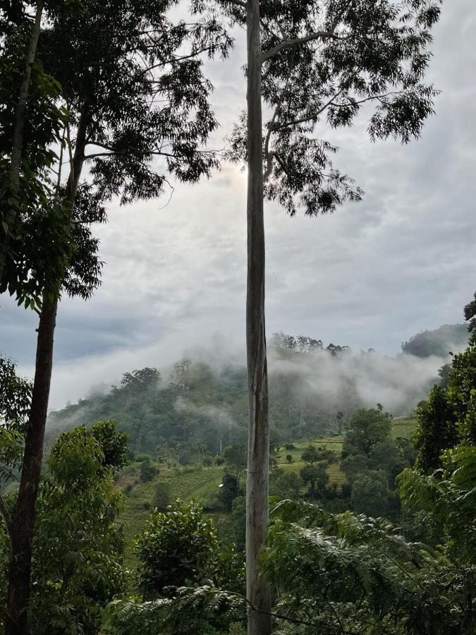 Silent Nest Bed & Breakfast Ella Luaran gambar
