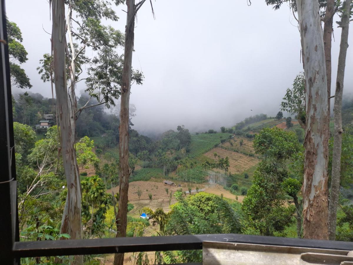 Silent Nest Bed & Breakfast Ella Luaran gambar