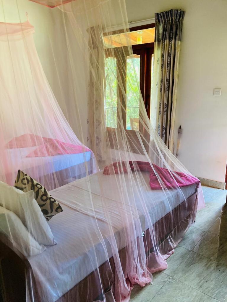 Silent Nest Bed & Breakfast Ella Luaran gambar