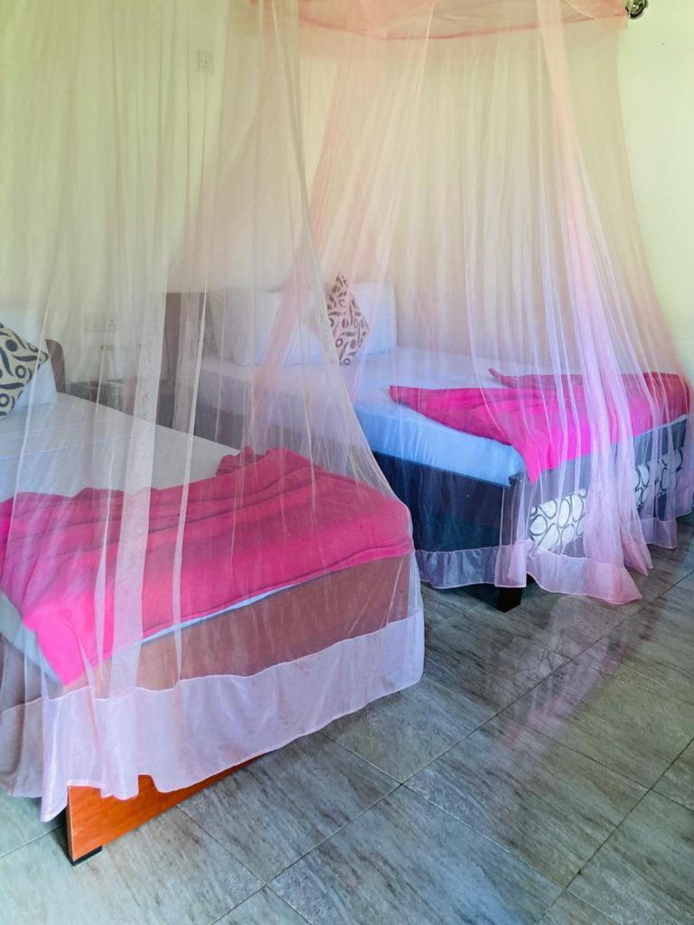 Silent Nest Bed & Breakfast Ella Luaran gambar