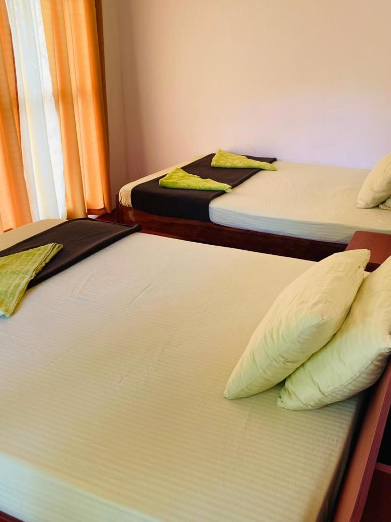 Silent Nest Bed & Breakfast Ella Luaran gambar