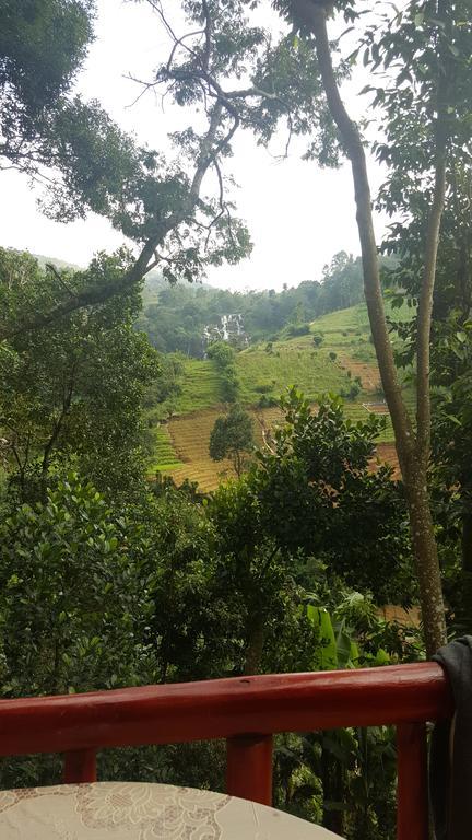 Silent Nest Bed & Breakfast Ella Luaran gambar